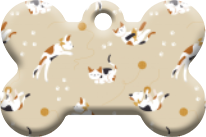 Gatos_29